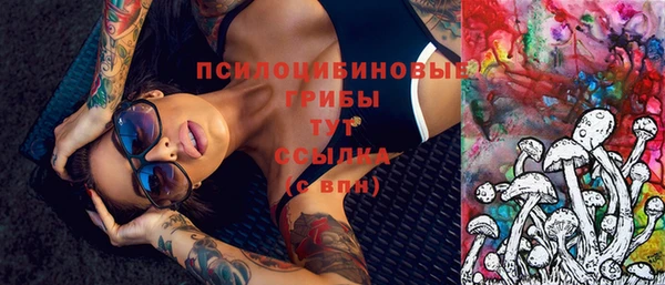 амф Абаза