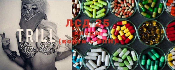 PSILOCYBIN Абдулино