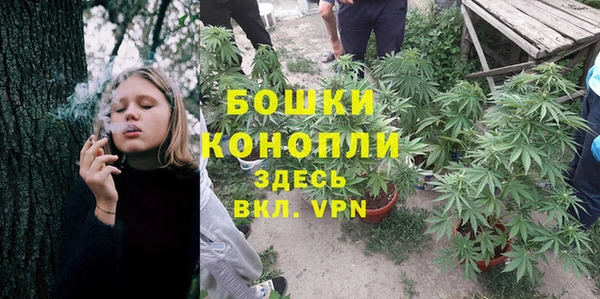 сатива Алексин
